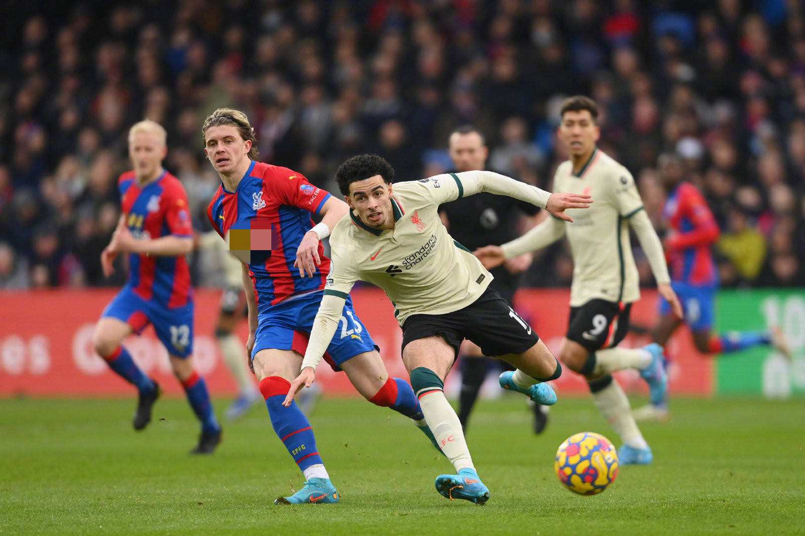 生重要影响 生重要影响